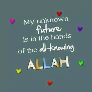 Meet your Posher, Umu salman